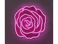 Détails : NEON BLOOM
